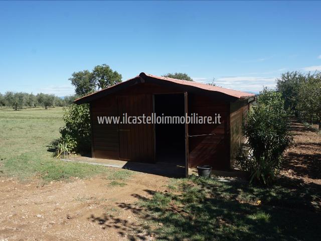 Terreno in vendita a Sarteano