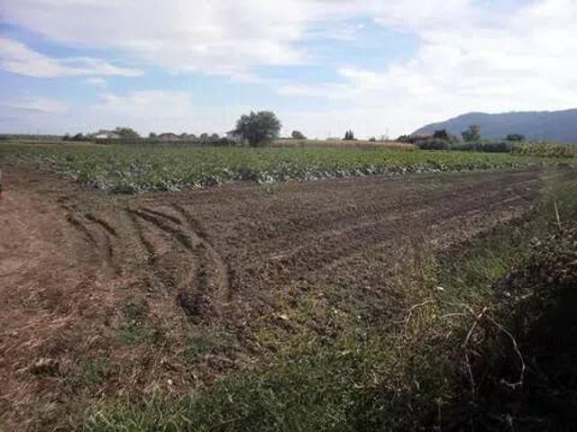 Terreno in vendita a Sarzana SP