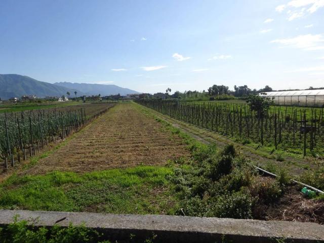 Terreno in vendita a Sarno SA