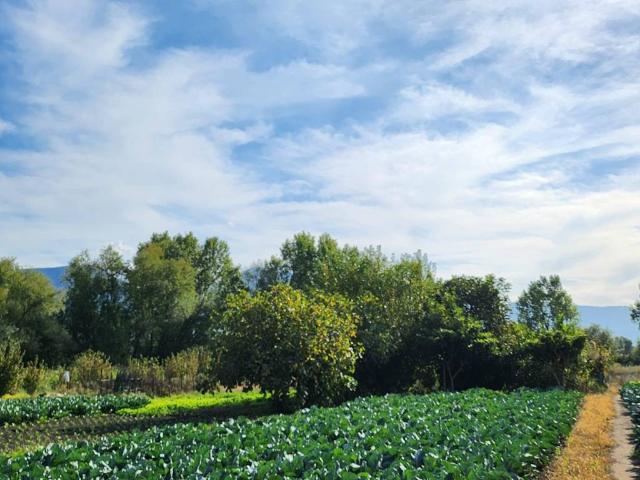 Terreno in vendita a Sarno SA