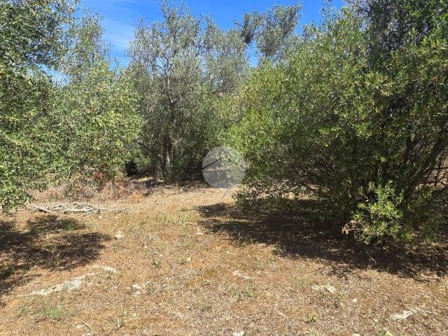 Terreno in vendita a Sassari SS