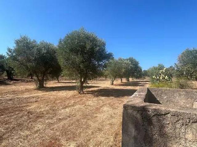 Terreno in vendita a Sava TA
