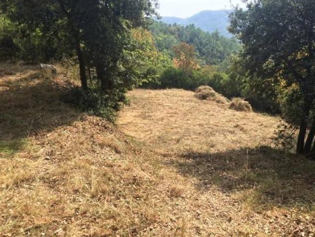 Terreno in vendita a Savona SV