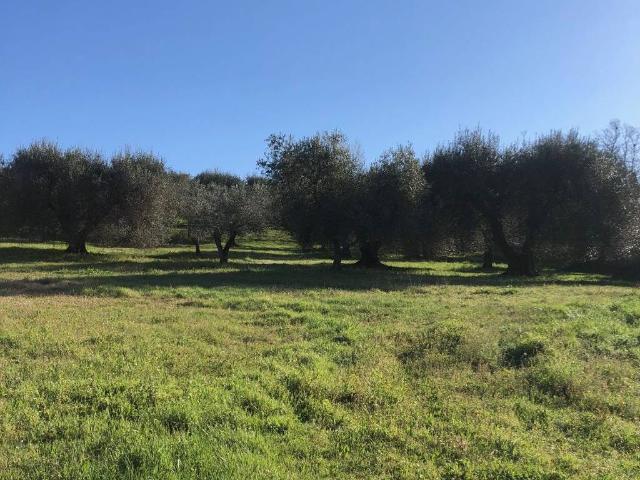 Terreno in vendita a Semproniano GR