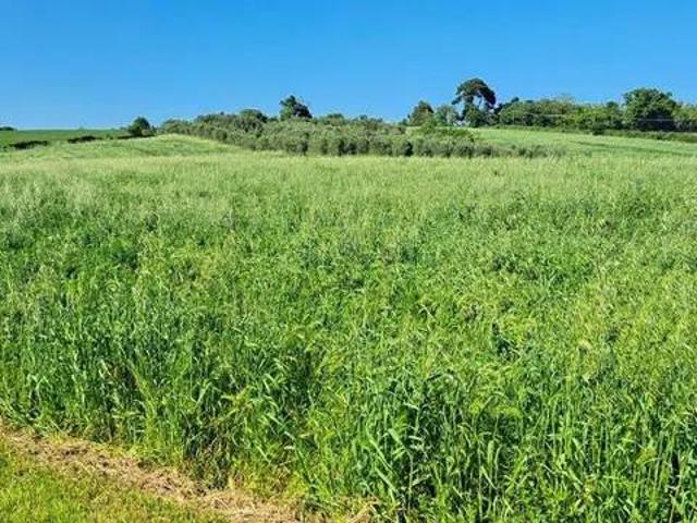 Terreno in vendita a Senigallia AN