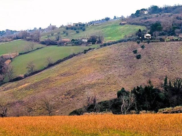 Terreno in vendita a Senigallia AN