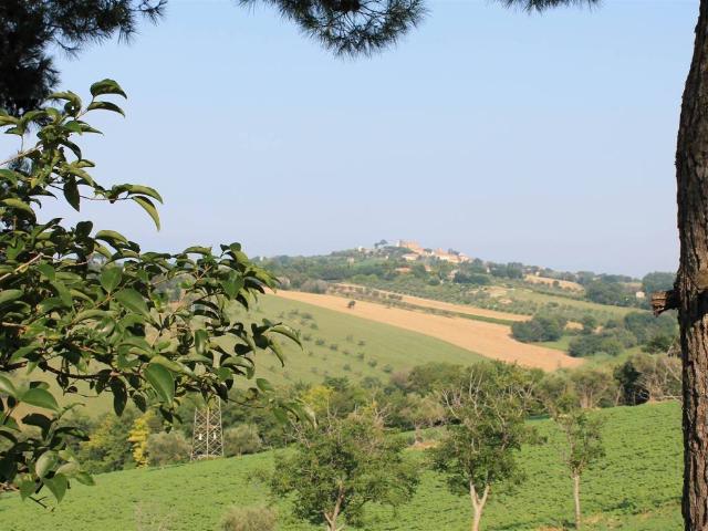 Terreno in vendita a Senigallia AN