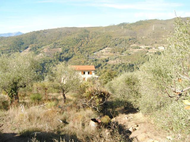 Terreno in vendita a Seborga IM