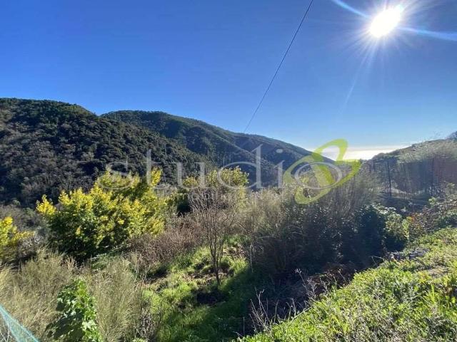 Terreno in vendita a Seborga IM