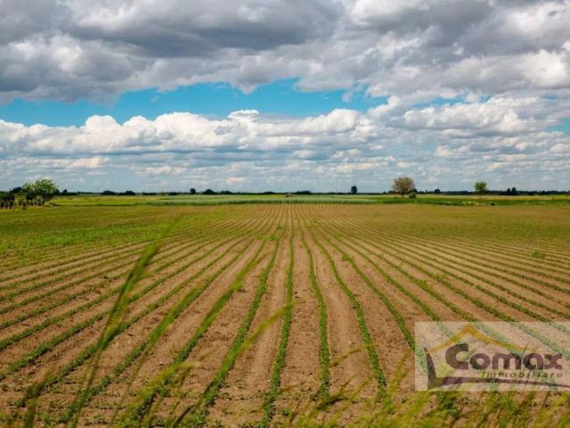 Terreno in vendita a Selvazzano Dentro PD