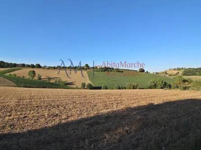 Terreno in vendita a Servigliano FM