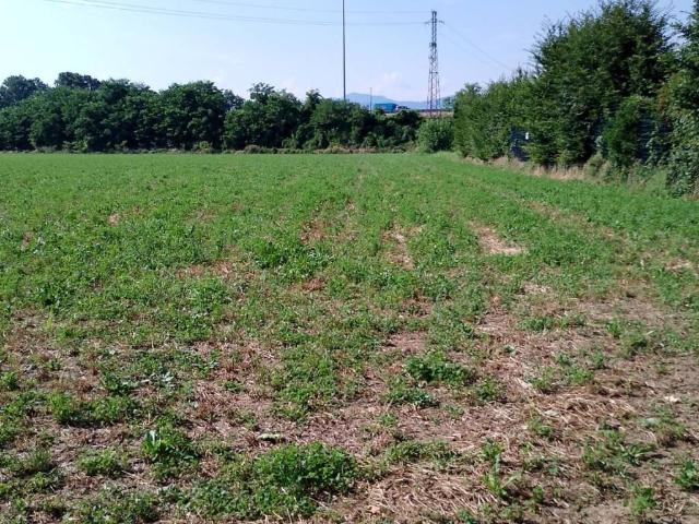 Terreno in vendita a Seriate BG