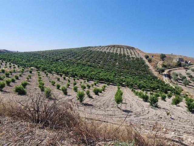 Terreno in vendita a Serradifalco CL