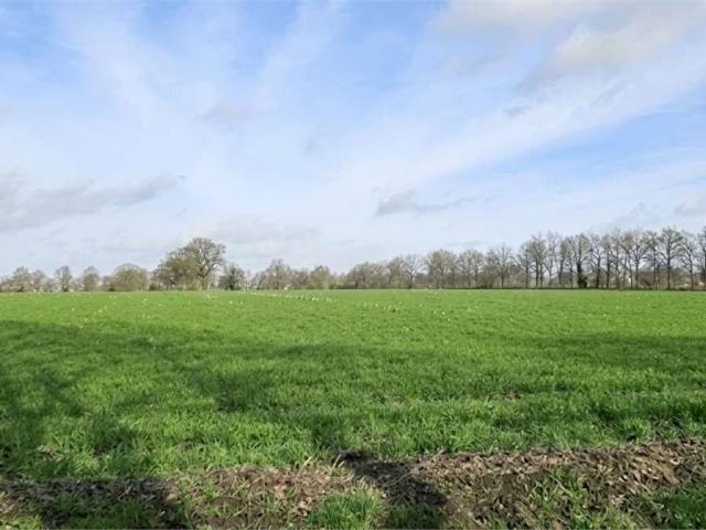 Terreno in vendita a Sesto Calende VA