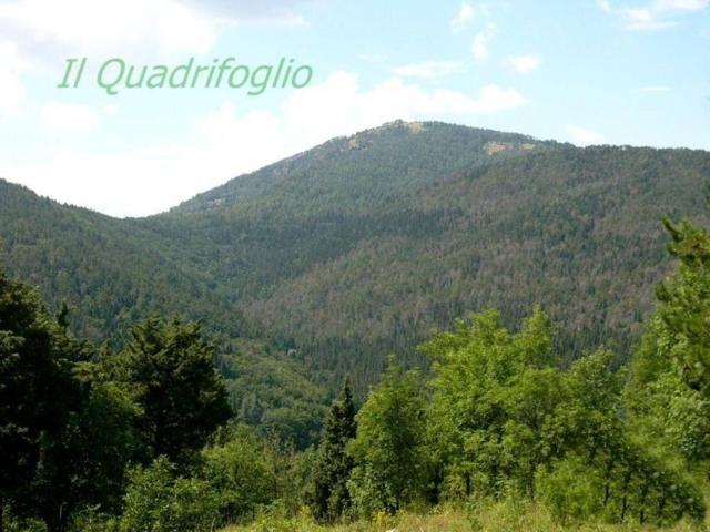 Terreno in vendita a Sesto Fiorentino FI