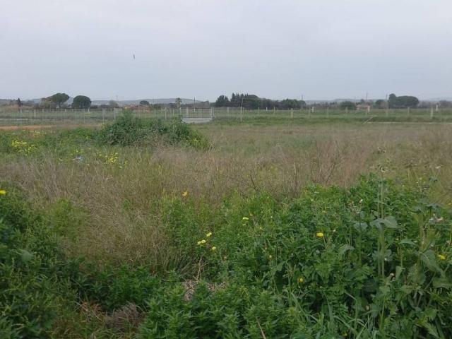 Terreno in vendita a Sestu CA