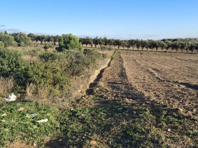 Terreno in vendita a Sestu CA