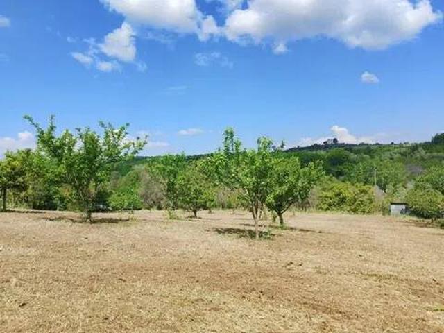 Terreno in vendita a Sessa Aurunca CE