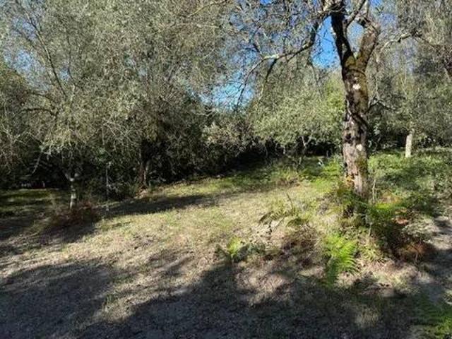 Terreno in vendita a Sessa Aurunca CE