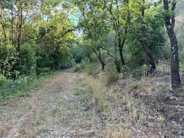 Terreno in vendita a Sessa Aurunca CE