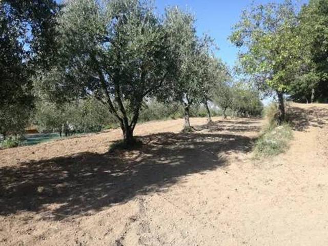 Terreno in vendita a Sessa Aurunca CE