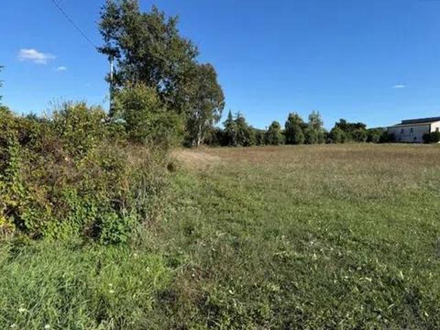 Terreno in vendita a Sessa Aurunca CE