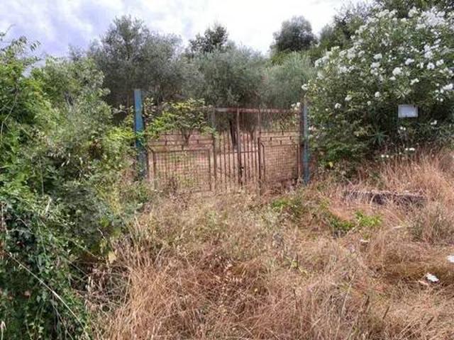 Terreno in vendita a Sessa Aurunca CE
