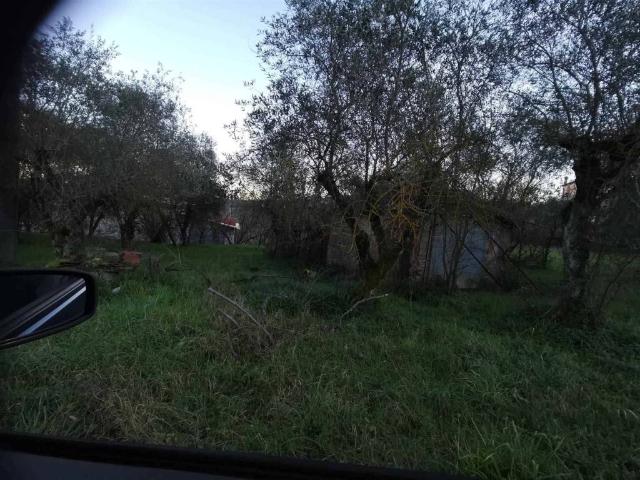 Terreno in vendita a Sinalunga SI