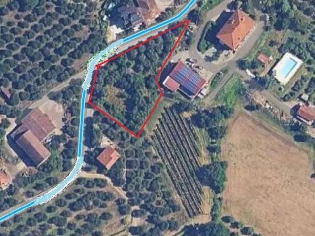 Terreno in vendita a Sinalunga SI