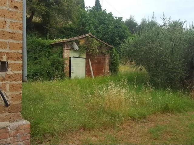 Terreno in vendita a Sinalunga SI