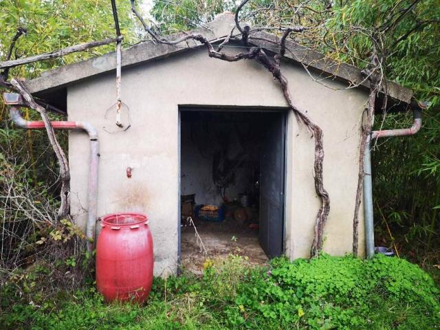 Terreno in vendita a Sinalunga SI
