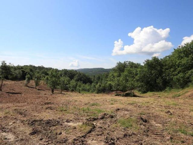 Terreno in vendita a Sinalunga SI