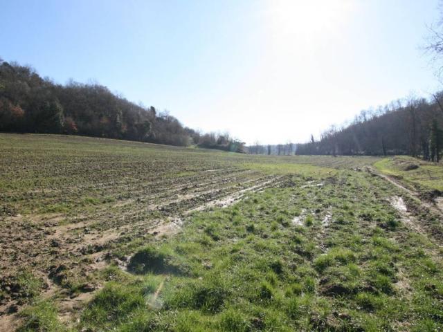 Terreno in vendita a Sinalunga SI