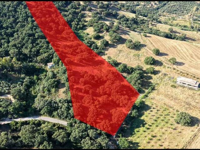 Terreno in vendita a Siniscola NU
