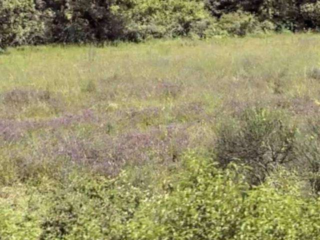 Terreno in vendita a Siena SI