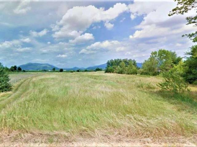 Terreno in vendita a Signa FI