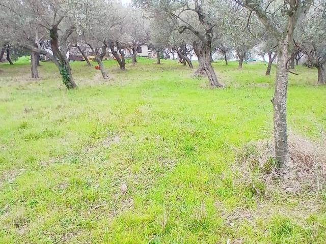Terreno in vendita a Silvi TE