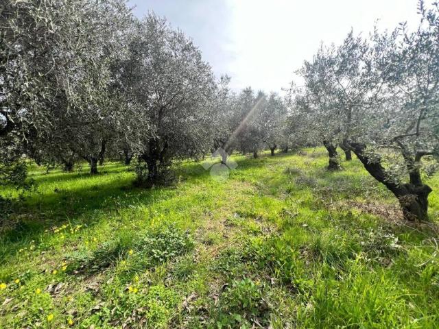 Terreno in vendita a Silvi TE