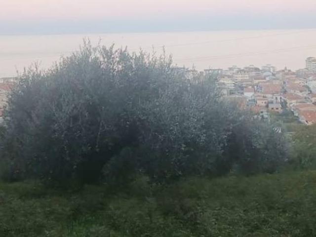 Terreno in vendita a Silvi TE