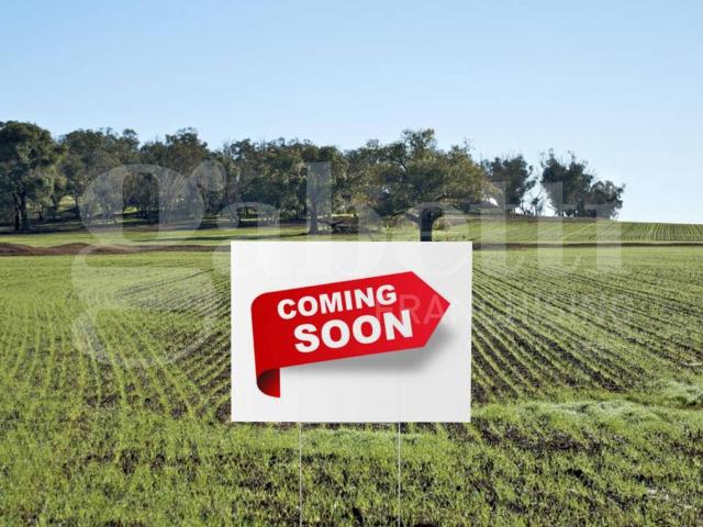 Terreno in vendita a Silea TV