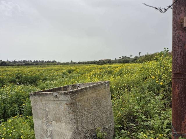 Terreno in vendita a Siracusa SR