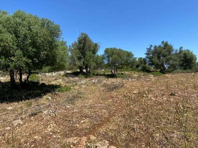 Terreno in vendita a Siracusa SR