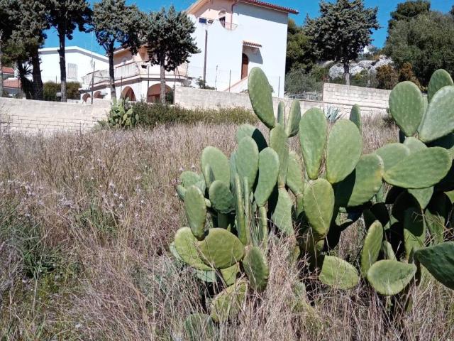 Terreno in vendita a Siracusa SR