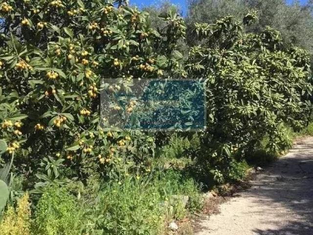 Terreno in vendita a Siracusa SR