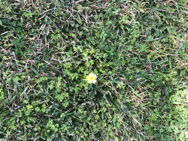 Terreno in vendita a Siracusa SR