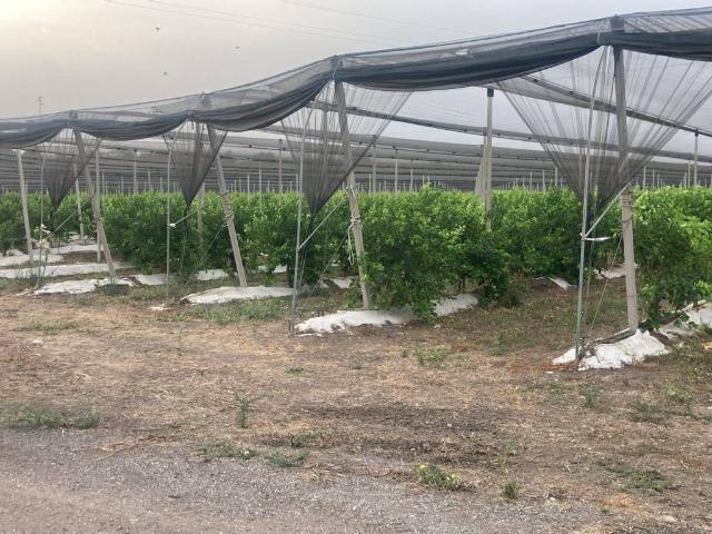 Terreno in vendita a Siracusa SR