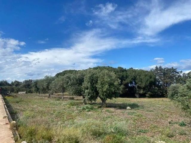 Terreno in vendita a Siracusa SR