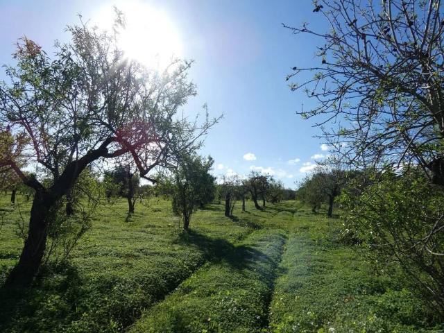 Terreno in vendita a Siracusa SR