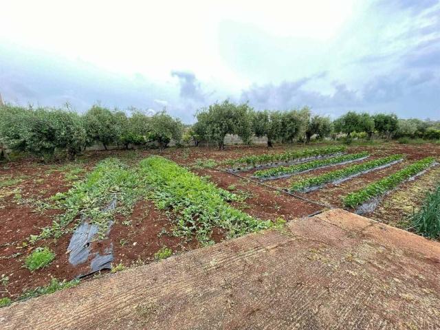 Terreno in vendita a Siracusa SR
