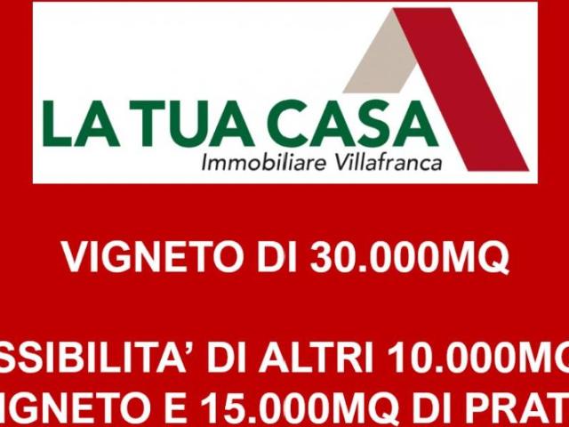 Terreno in vendita a Sona VR